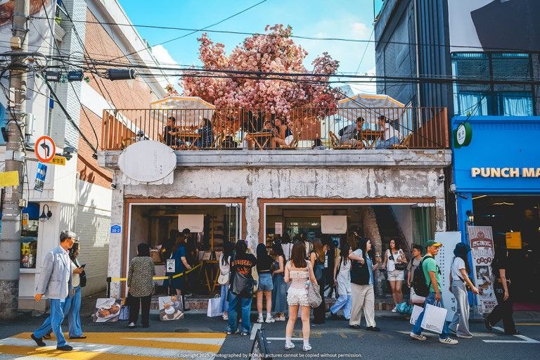 圣水洞樱花咖啡馆